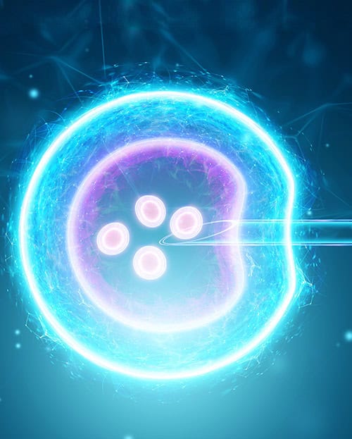 bloom training academy 01