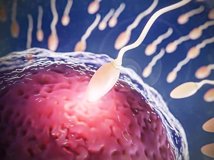 sperm retrieval