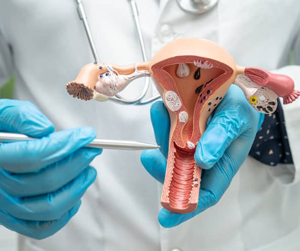 Ovarian Rejuvenation Treatment