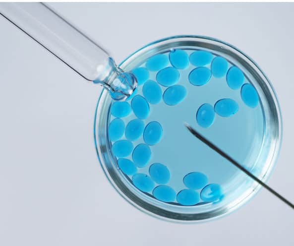 Ovarian Rejuvenation