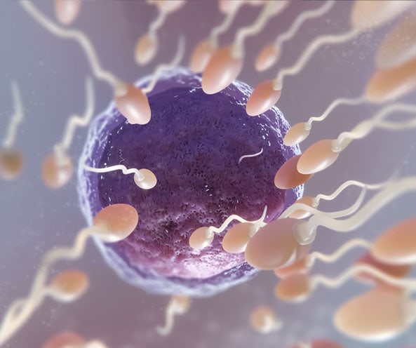 What is Semen Freezing