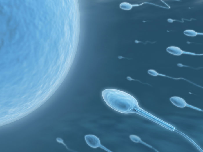 Imsi Banner 02