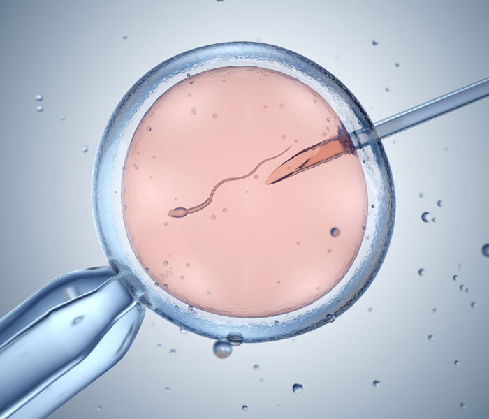 Egg Donation