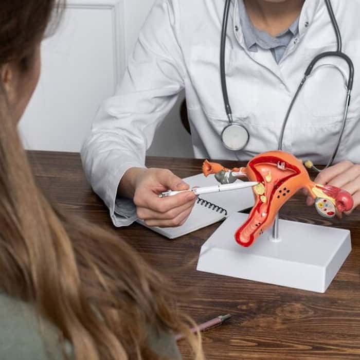 Follicular Monitoring 1