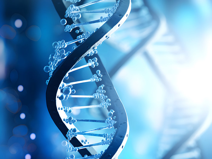Understanding Genetic Disorders And Ivf